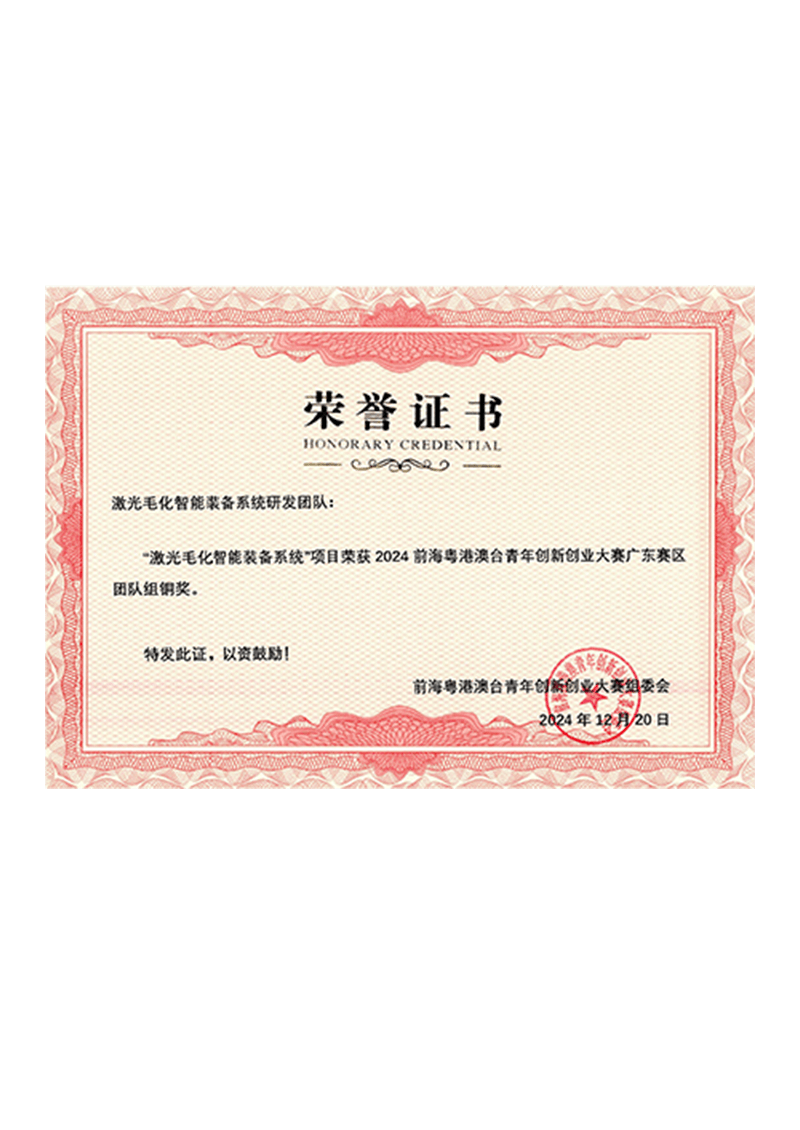 2024前海粤港澳台青年创新创业大赛广东赛区团队组铜奖